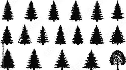 Tree silhouette set, pine and deciduous icons, forest vector clipart, black trees, nature graphic, stylized shapes, foliage illustration