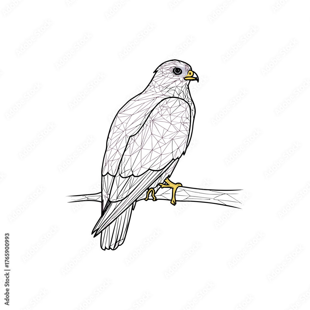 Fototapeta premium Geometric line drawing of a hawk perched on a branch 