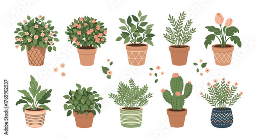 A beautiful collection of various indoor houseplants in decorative pots.