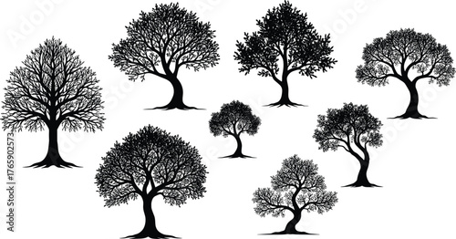 Collection of detailed tree silhouettes on white background, natural forest landscape vector, black botanical art, eco friendly nature design illustration
