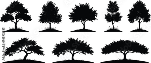 Tree silhouette collection on white background, natural forest landscape illustration, black isolated tree design, botanical nature art, eco friendly vector
