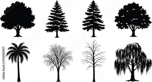Collection of various tree silhouettes, palm pine and willow illustration, black forest shapes, natural eco vector design, landscape art