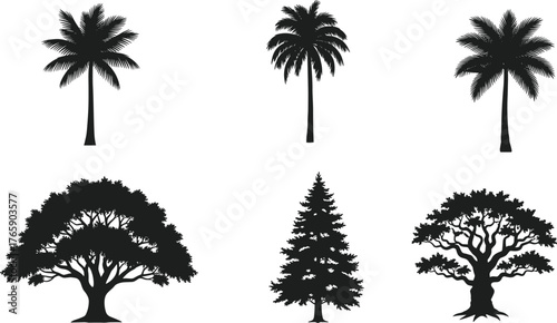 Collection of tropical and forest tree silhouettes, palm, pine, and oak vector illustration, nature design elements isolated on white background
