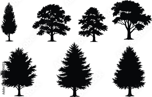 Collection of conifer and deciduous tree silhouettes, black forest vector illustration for landscape design, nature, and environmental artwork