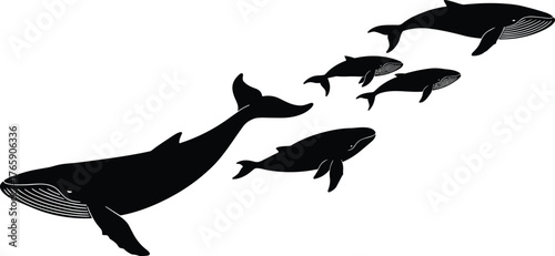 Whale family silhouettes swimming together in ocean, marine animal illustration, aquatic wildlife design, underwater nature art, sea creature pattern