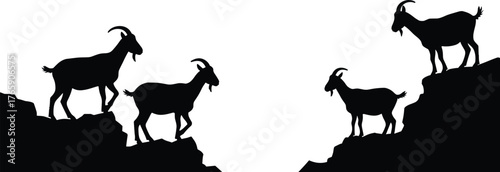 Mountain goats silhouette on rocky hill, wildlife vector illustration, climbing animals in nature, adventure outdoor concept design art