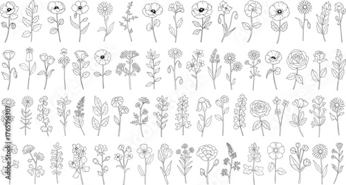 Botanical flower silhouettes, black and white vector, floral icon set, petal and leaf designs, nature illustration, decorative plant graphic collection