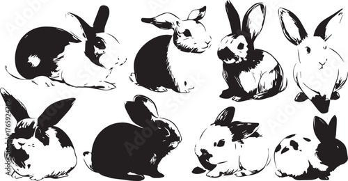 a set of cute cartoon rabbits in different poses, with various fur colors and patterns. the illustration is designed as vector art on white background