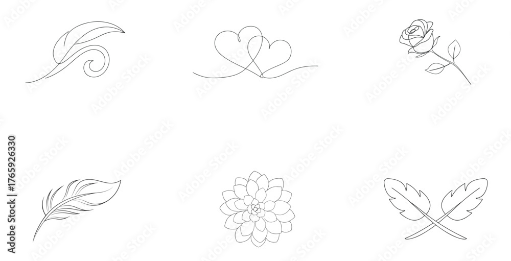 Fototapeta premium Feather hearts rose flower succulent crossed feathers