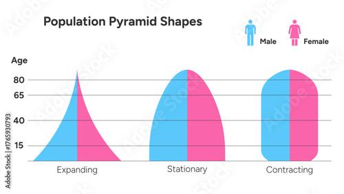 A demographic infographic showing expanding, stationary, and contracting population pyramid shape comparing male and female distribution