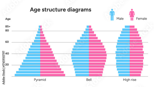 A demographic infographic showing population age structure in pyramid, bell, and high-rise shape with male and female side comparison
