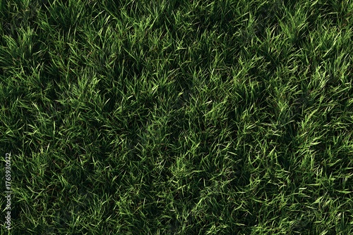 An overhead view of a lush green grass field with blades of grass densely packed together in a pattern