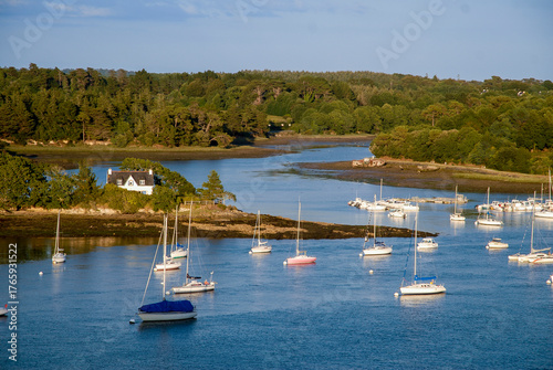 Tableau sur toile -29--44604.JPG