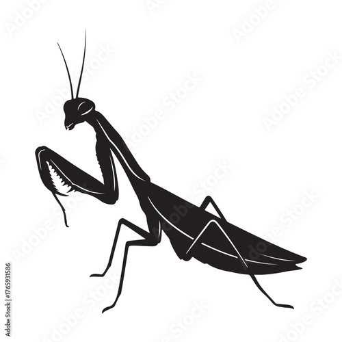 Black Silhouette of a Praying Mantis Insect on White Background black and white animal