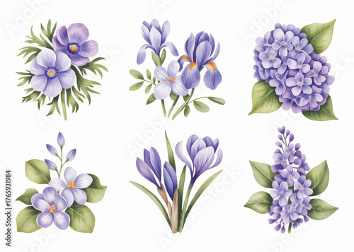 Lilac and crocus watercolor bouquet. Botanical violet and hydrangea watercolor floral set.
