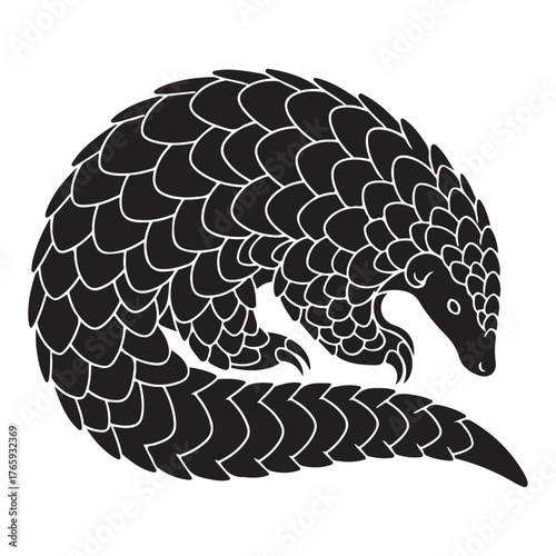 Silhouette Of A Pangolin Curled Up On White Background Keywords: pangolin, animal, silhouette, mammal, scaly