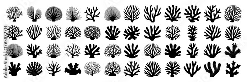 Collection of hand drawn coral for design use in vector format