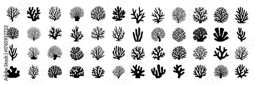 Collection of various coral silhouettes, showcasing different shapes and sizes of coral