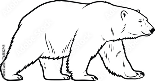 White polar bear outline on a plain background, arctic animal