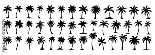 Collection of palm tree silhouette for tropical or beach themed designs
