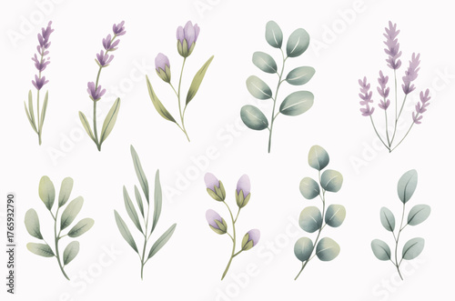 Lavender and lilac watercolor floral. Wild meadow blooms in lilac hues.