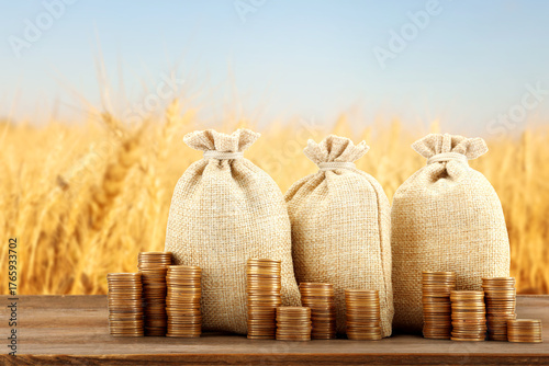 Agricultural production profit. Money bags and coins against wheat field © New Africa