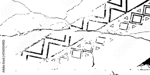 A high-contrast pattern of natural cracks forming unique geometric divisions. The black and white texture evokes a sense of dryness and age, resembling a parched desert floor or aged plaster wall 