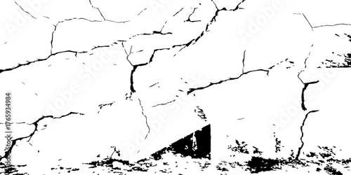 A high-contrast pattern of natural cracks forming unique geometric divisions. The black and white texture evokes a sense of dryness and age, resembling a parched desert floor or aged plaster wall 