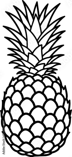 Stylized Pineapple Outline Illustration