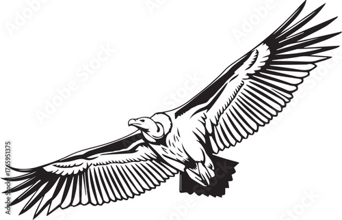 Majestic bird of prey soaring with wings extended against a clear sky