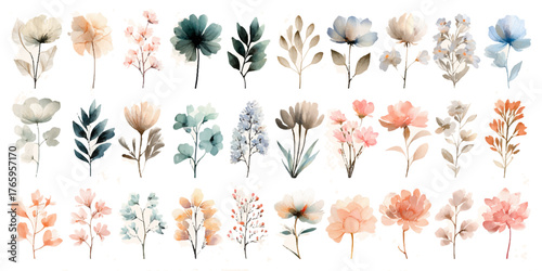 Collection of delicate watercolor floral illustrations in soft pastel colors arranged in rows