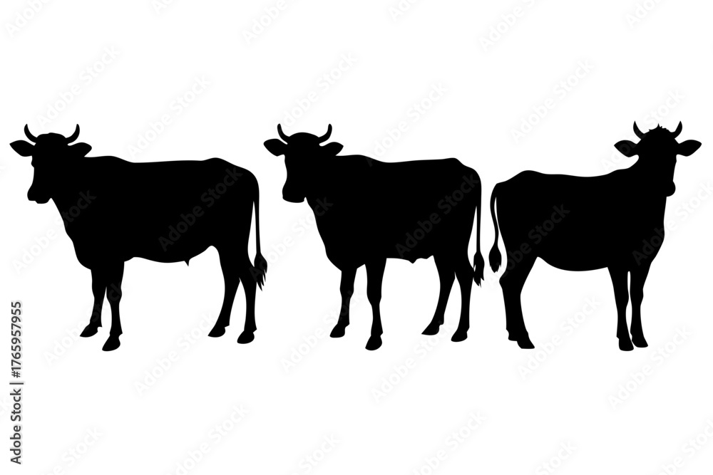 Fototapeta premium cow silhouette vector set, cow black symbol