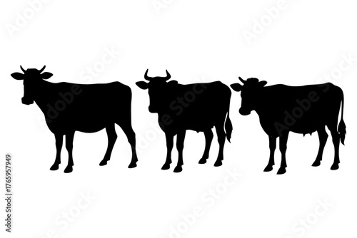 cow silhouette vector set, cow black symbol