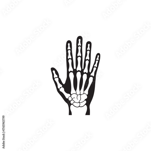 Hand Bone Structure