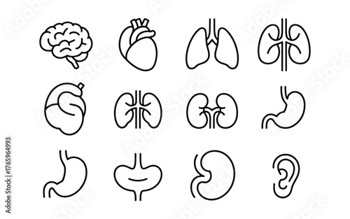 Set of hand-drawn human organ icons for medical and educational use