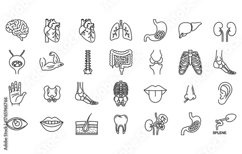 Collection of hand drawn medical anatomy icons featuring human organs and body parts