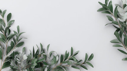 Green eucalyptus branch foliage leaf nature frame minimal fresh botanical greenery calm composition