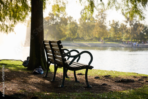 HOUSTON, TEXAS - OCTOBER 18th 2025: Serene park landscape with a calm waterway, arched bridge, lush green grass, and vibrant autumn trees, perfect natural backdrop for portrait photography.