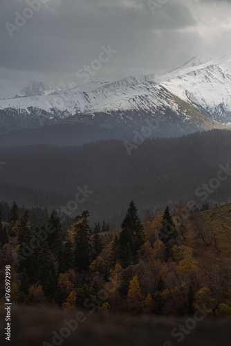 Mountains and forests, beautiful natural landscapes. Dombai and Arkhyz