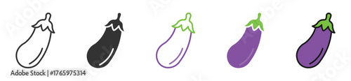 Eggplant Icon set, vegetable icon, vector illustration . 