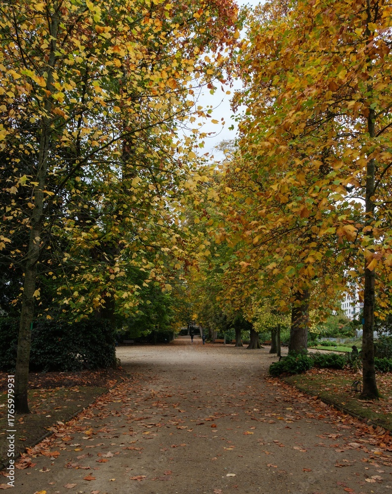 Naklejka premium Le Jardin des Plantes de Nantes en Automne