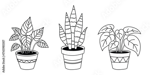 Minimalist Houseplant Line Drawing Vector Icon Set 