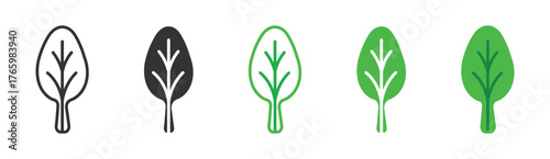 spinach icon set, vector illustration .