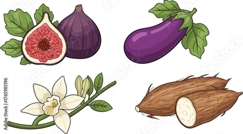 Collection of fresh tropical vegetables and fruits including fig, cassava, eggplant, vanilla flower