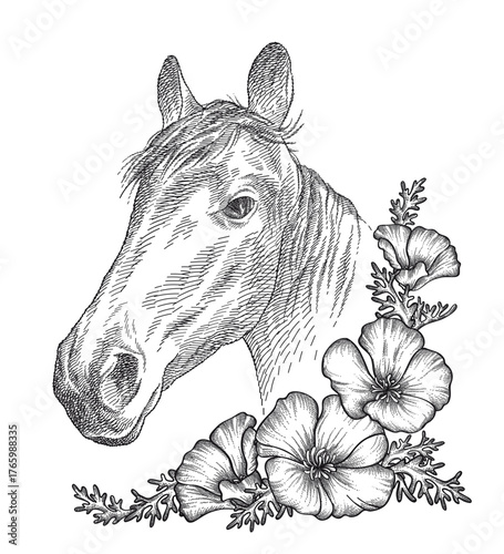 Hand-drawn graphic sketch of horse portrait and flowers in black isolated on white background. 