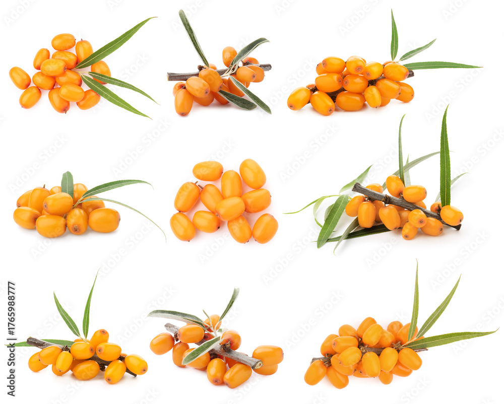 Obraz premium Sea buckthorn berries and green leaves isolated on white, set