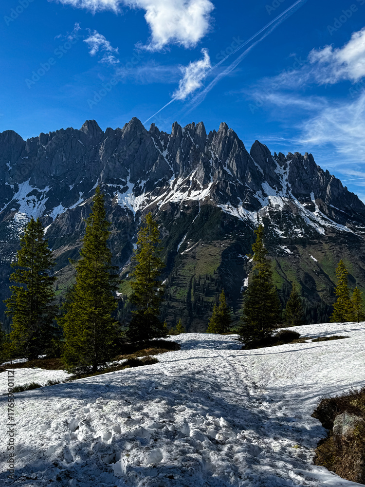 Fototapeta premium Mountain peaks and snow trail. Majestic rocky peaks of the Hochkönig massif under a bright blue sky, with traces of snow and evergreen pines creating a perfect alpine atmosphere.