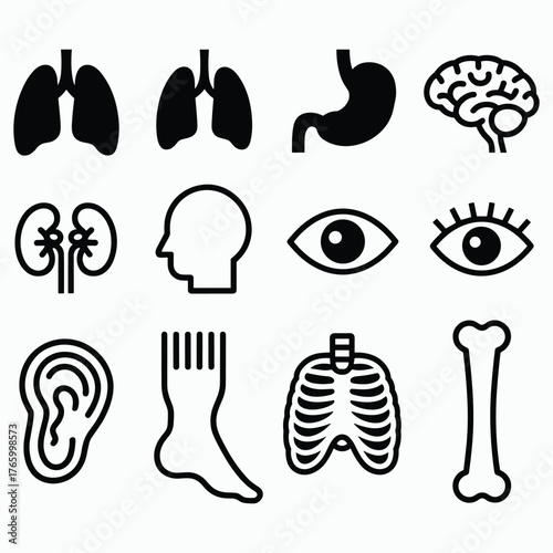 Collection of human anatomy icons vector graphics scalable eps medical healthcare organ illustrations