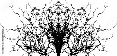 Curving vein-like lines form organic branch network with irregular intersections and flowing paths.