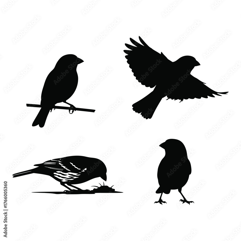 Obraz premium Four silhouette bird poses stationary perched flying and foraging capturing nature's graceful movements vector